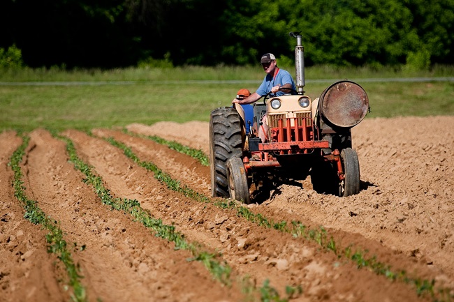 farming farming