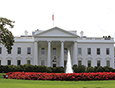 whitehouse