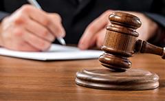 Gavel Hand_001