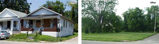 maple-street maple-street